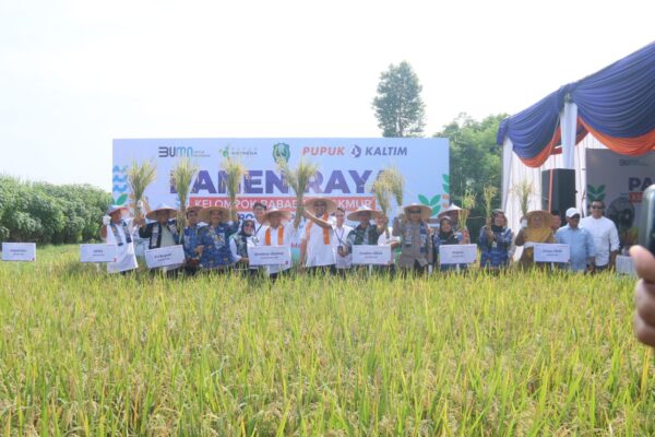Pupuk Kaltim Genjot Program MAKMUR, Sasar 100.000 Hektar Demi Ketahanan Pangan Nasional Pupuk Kaltim Genjot Program MAKMUR